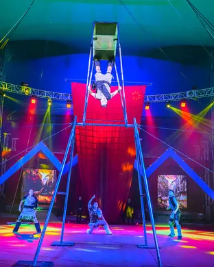 Garden Bros Nuclear Circus: Fun Factory