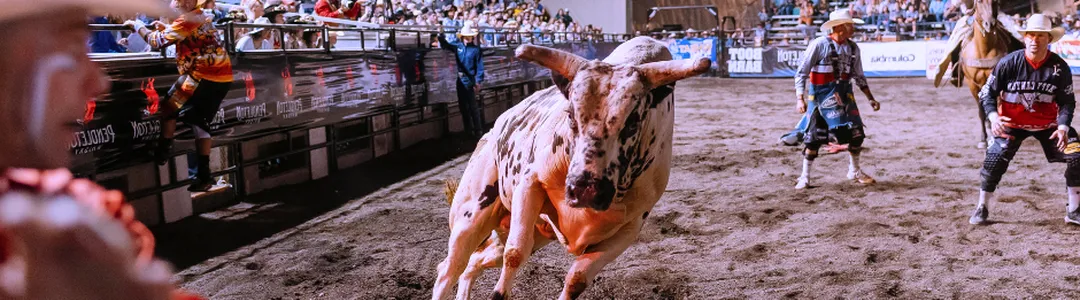 Xtreme Bulls
