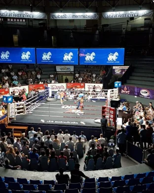 Let's Get It On: Live Professional Boxing