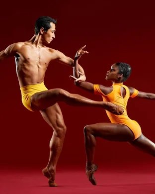 Reno Dance Company: The Nutcracker